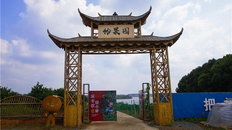 新光明农场