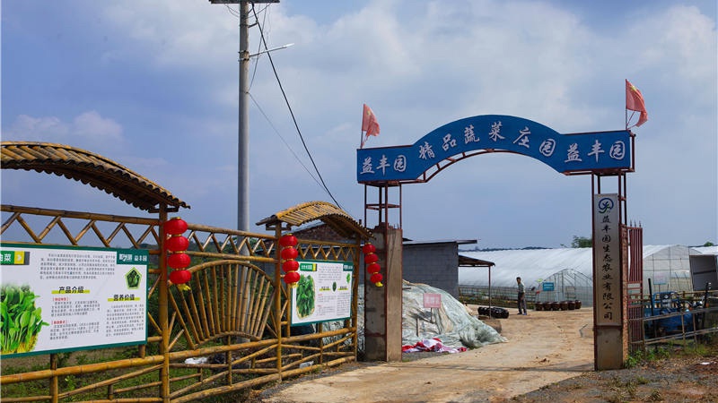 新光明农场