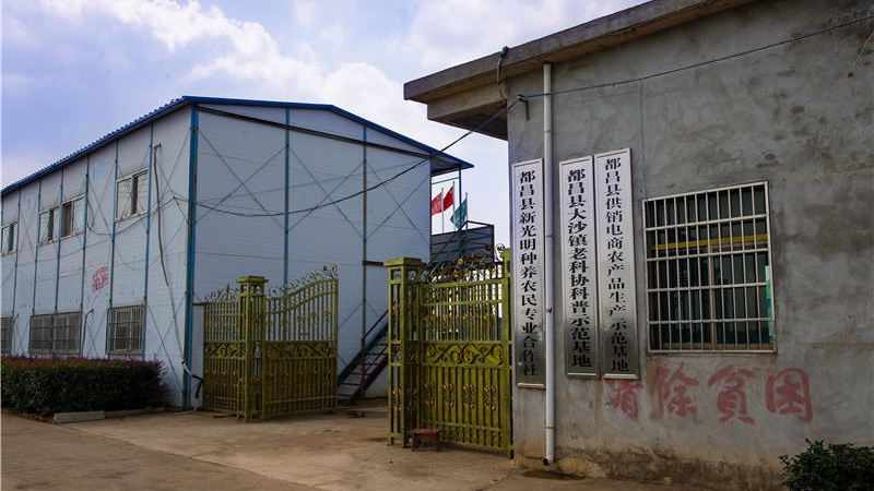 新光明农场