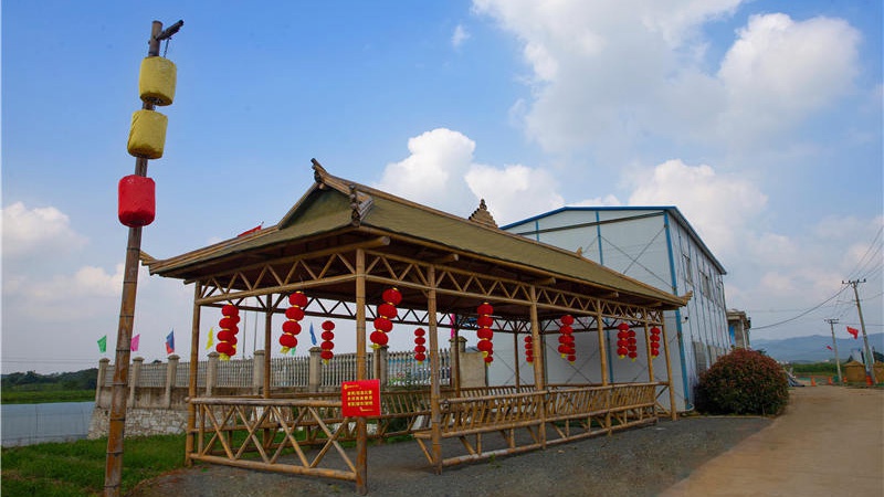 新光明农场