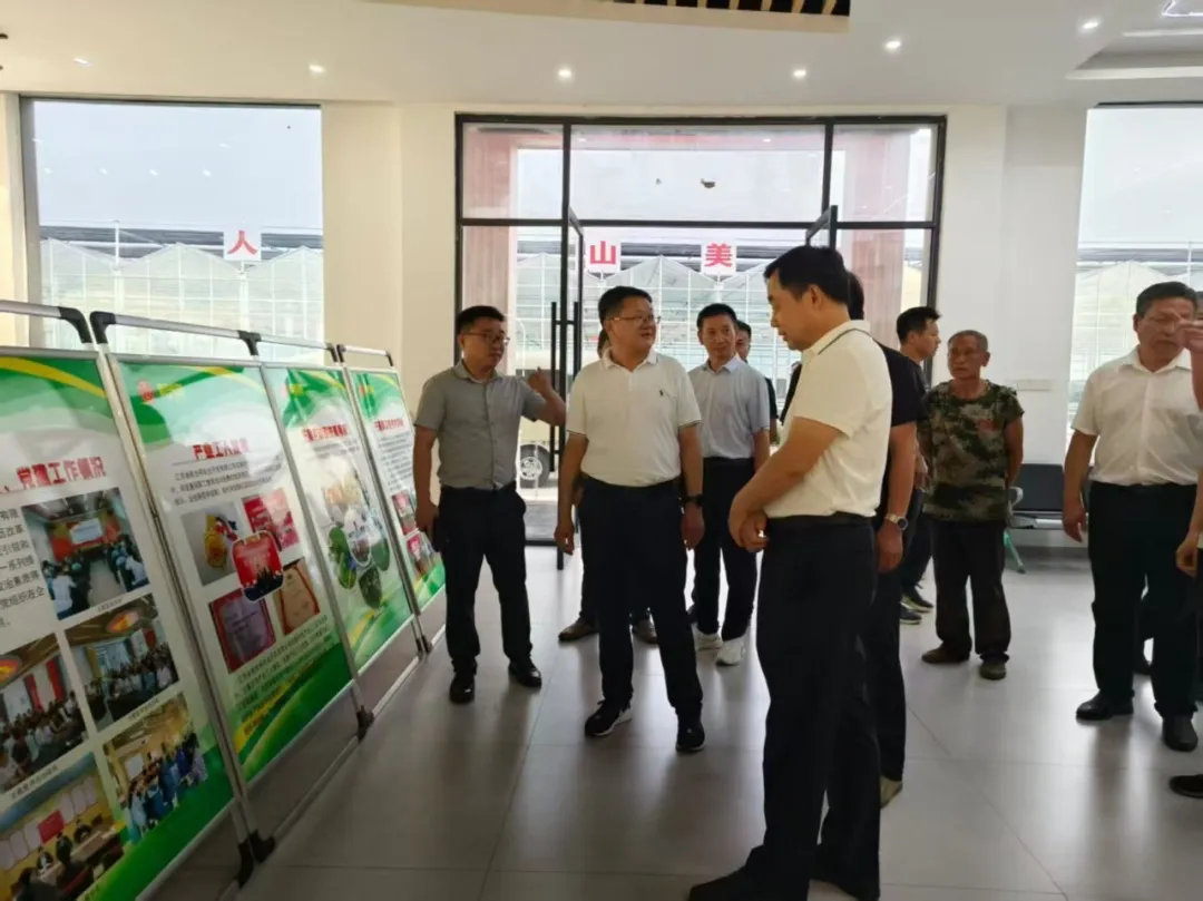 潜山市政协考察组莅临新光明瓜蒌子种植基地